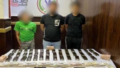 القبض على 3 عاطلين بالبحيرة بحوزتهم 600 طربة حشيش