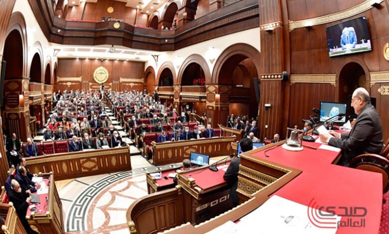 الحكومة لمجلس الشيوخ: نراقب السوق ونحاول ضبط الأسعار