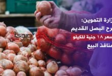 وزارة التموين: طرح البصل القديم بسعر 18 جنيه للكيلو بمنافذ البيع