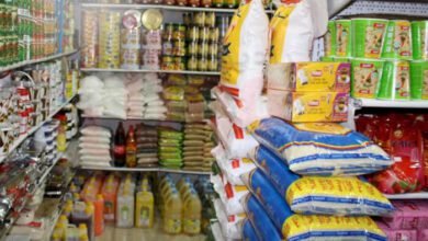 عضو مجلس الشيوخ: الحملات الأمنية قامت بدور إيجابي ضد الغلاء والسوق السوداء