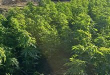 الشرطة المصرية تداهم "جزيرة المخدرات" في قلب النيل