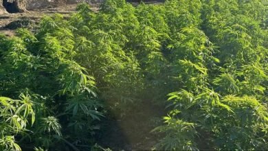 الشرطة المصرية تداهم "جزيرة المخدرات" في قلب النيل