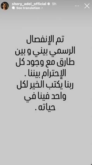 شيرى عادل تعلن طلاقها رسميا من طارق صبرى.. التفاصيل كاملة