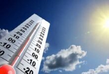 الطقس غدا.. أجواء مائلة للحرارة وشبورة كثيفة على الطرق صباحا