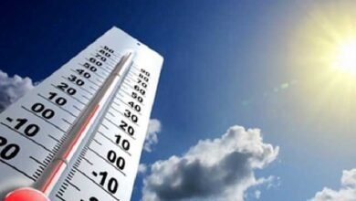 الطقس غدا.. أجواء مائلة للحرارة وشبورة كثيفة على الطرق صباحا