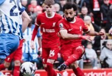 هدف محمد صلاح يقود ليفربول للفوز على برايتون ليحتل صدارة الدوري الانجليزي