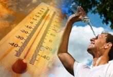 حالة الطقس غدا.. أجواء ربيعية حار نهارا ونشاط رياح على أغلب الأنحاء