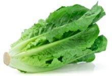 لمرضى السكري.. "فوائد مذهلة" للخس منها تنظيم مستوى السكر في الدم