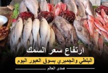 ارتفاع سعر السمك البلطي والجمبري بسوق العبور اليوم