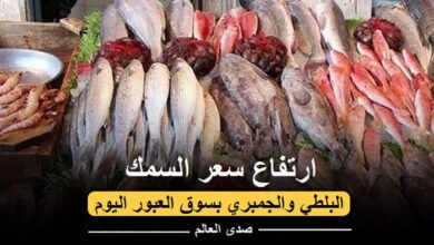ارتفاع سعر السمك البلطي والجمبري بسوق العبور اليوم
