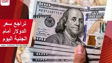 تراجع سعر الدولار أمام الجنيه المصري اليوم في البنوك المصرية