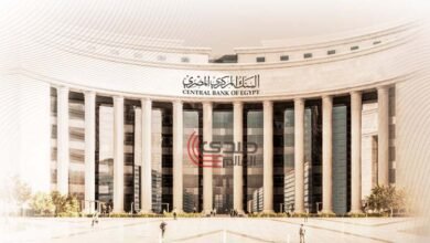 صندوق النقد: نتوقع ارتفاع الاحتياطى الأجنبى لمصر لـ 61.7 مليار دولار بحلول 2029