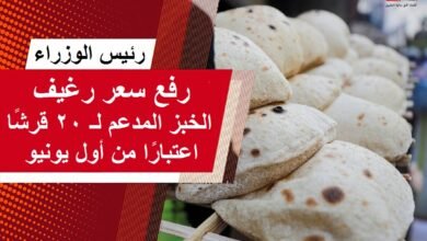 رئيس الوزراء: رفع سعر رغيف الخبز المدعم إلى 20 قرشًا اعتبارًا من يونيو
