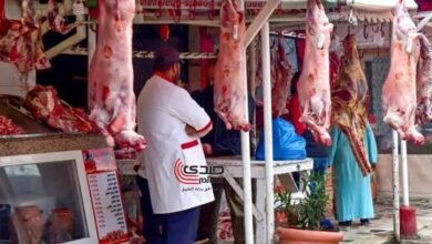 تعرف على أسعار اللحوم والأضاحي بعد انخفاض سعر كيلو اللحمة