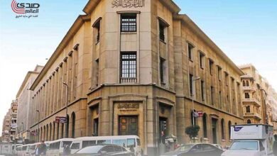 مصادر: جزء من اموال الصفقات الاجنبية اُستخدمت فى سداد عجز الاصول وتغطية المراكز المكشوفة للبنوك الحكومية