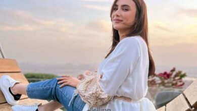 محاكمة «سائق أوبر» تحرش بالفنانة هلا السعيد