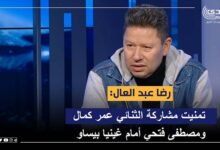 رضا عبدالعال: تمنيت مشاركة الثنائي عمر كمال ومصطفى فتحي أمام غينيا