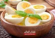ما هي فوائد البيض للجسم والكمية المسموح بها يوميا؟
