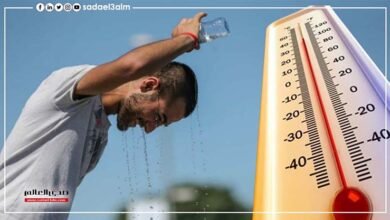 الأرصاد تحذر المواطنين من ارتفاع الرطوبة تصل 85 % على القاهرة والوجه البحري