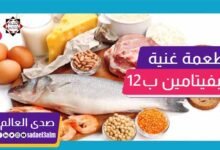 أكثر الأطعمة الغنية بفيتامين ب12 لتحسين صحة الإنسان