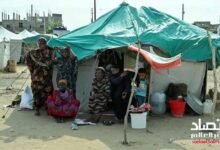 واشنطن: أكثر من 25 مليون سوداني يعانون من نقص الغذاء