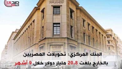 البنك المركزي: تحويلات المصريين بالخارج بلغت 20.8 مليار دولار خلال 9 أشهر