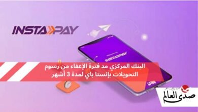 البنك المركزي: مد فترة الإعفاء من رسوم التحويلات بـ "إنستا باي" لمدة 3 أشهر