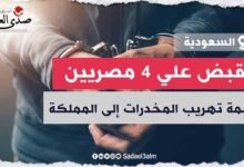السعودية تلقي القبض علي 4 مصريين بتهمة تهريب المخدرات إلى المملكة عبر النحل