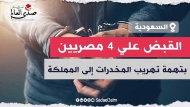 السعودية تلقي القبض علي 4 مصريين بتهمة تهريب المخدرات إلى المملكة عبر النحل