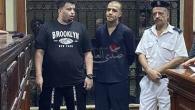 حبس عصام صاصا وشقيقه لمدة سنة مع إيقاف التنفيذ في قضية تزوير توكيل