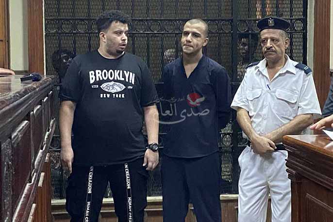 حبس عصام صاصا وشقيقه لمدة سنة مع إيقاف التنفيذ في قضية تزوير توكيل