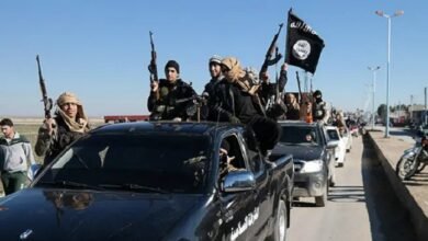 قوات سوريا الديمقراطية تنبه "تنظيم داعش بدأ في التحرك مجددا"