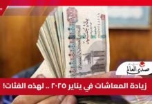 زيادة المعاشات في يناير 2025 لهذه الفئات.. تعرف عليها