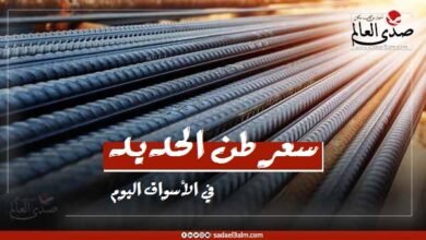 سعر طن الحديد في الأسواق اليوم الثلاثاء 24 ديسمبر 2024