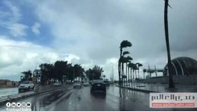 الأرصاد: طقس غدا معتدل خلال النهار وبارد في الليل مع وجود شبورة