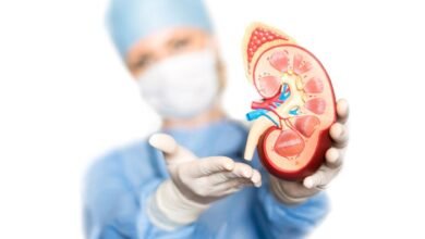 مشروبات تنظف الكلى بشكل طبيعي