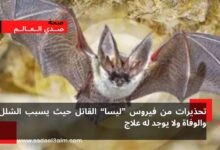 يسبب الشلل والوفاة.. تحذيرات من فيروس ليسا القاتل لا يوجد له علاج