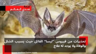 يسبب الشلل والوفاة.. تحذيرات من فيروس ليسا القاتل لا يوجد له علاج