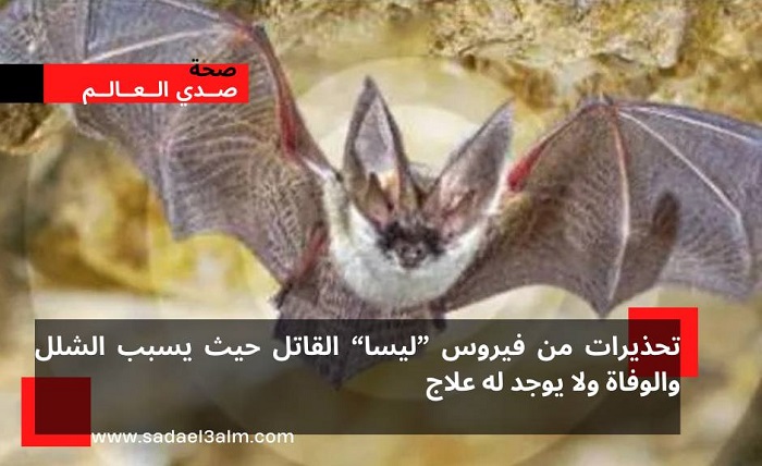 يسبب الشلل والوفاة.. تحذيرات من فيروس ليسا القاتل لا يوجد له علاج