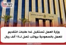 وزارة العمل: فرص عمل برواتب 20 ألف جنيه للمهندسين والمؤهلات المتوسطة