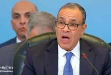 مصر: لدينا استراتيجية لإعمار غزة مع الحفاظ على بقاء الفلسطينيين في أراضيهم