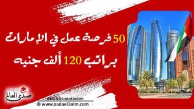 50 فرصة عمل في الإمارات براتب 120 ألف جنيه