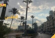 الطقس اليوم الثلاثاء 7 يناير 2025.. أجواء باردة وشبورة كثيفة في الصباح