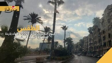 الطقس اليوم الثلاثاء 7 يناير 2025.. أجواء باردة وشبورة كثيفة في الصباح