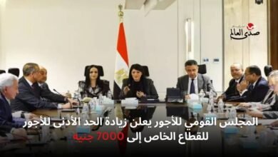 القومي للأجور يعلن زيادة الحد الأدنى للأجور للقطاع الخاص لـ 7000 جنيه