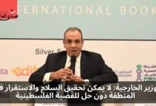 وزير الخارجية: لا يمكن تحقيق السلام في المنطقة دون حل القضية الفلسطينية