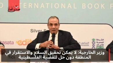 وزير الخارجية: لا يمكن تحقيق السلام في المنطقة دون حل القضية الفلسطينية