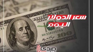 سعر الدولار اليوم الأحد 9 فبراير 2025 مقابل الجنيه المصري