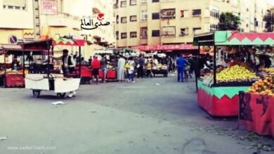 "منها عربات الفول".. الكهرباء تقرر لأول مرة تركيب عدادات للباعة الجائلين