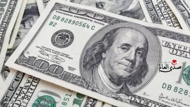 سعر الدولار اليوم الثلاثاء 11 مارس مقابل الجنيه المصري